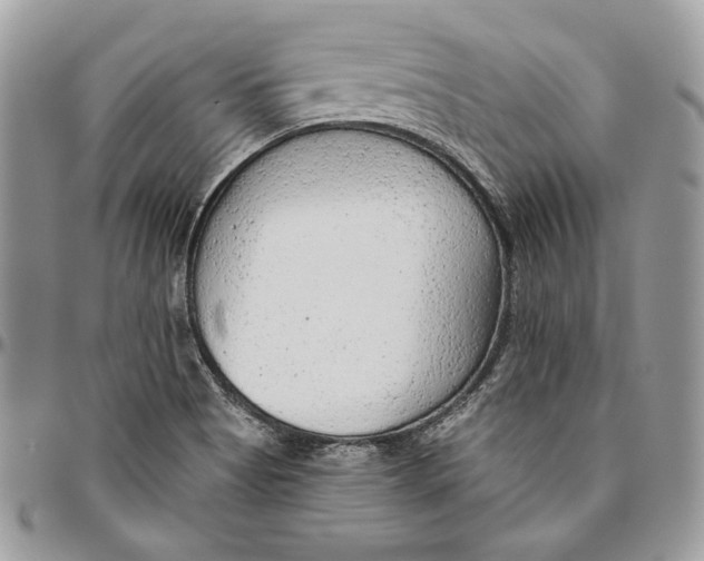 X0000094771513200712071121