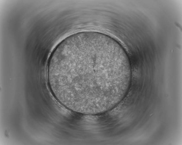 X0000094771514200712071121