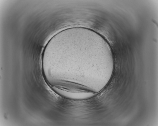 X0000094771516200712071121