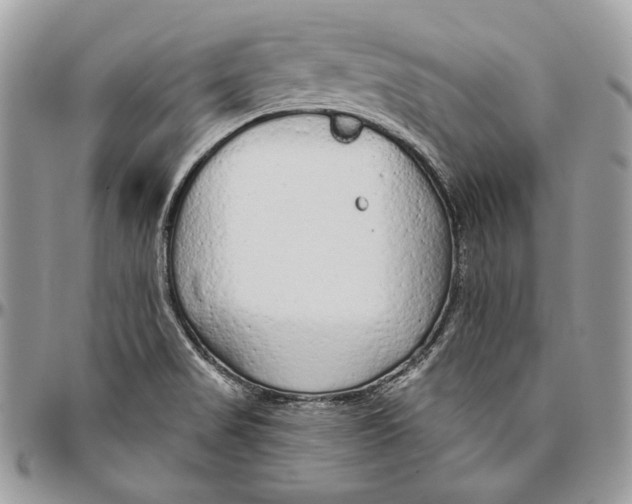 X0000094771517200712071121