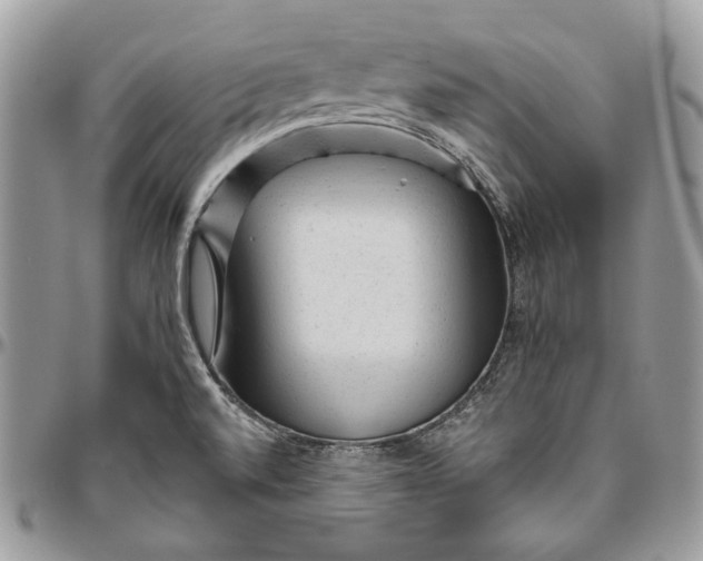 X0000094771520200712071121