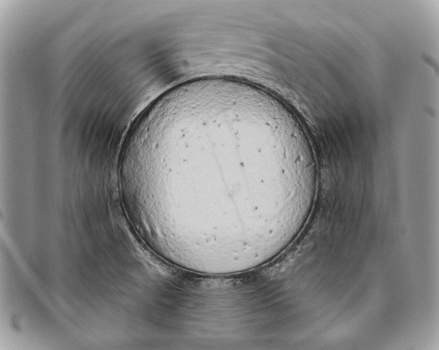 X0000094771521200712071121