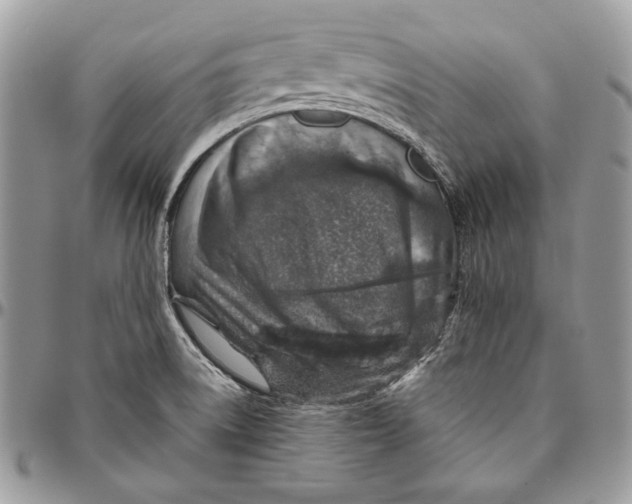 X0000094771522200712071121