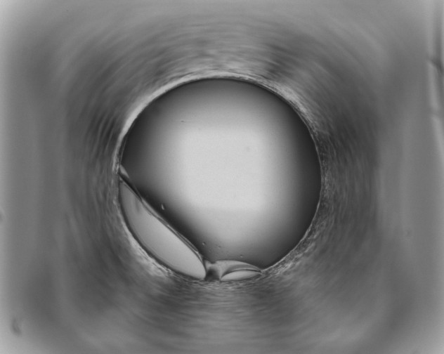 X0000094771524200712071121