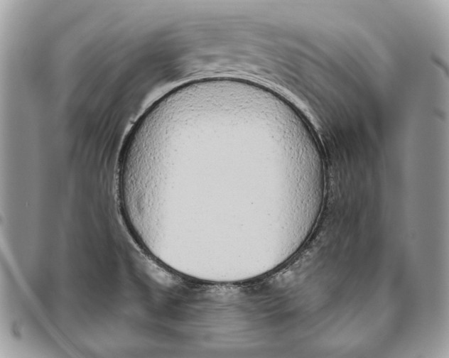 X0000094771525200712071121