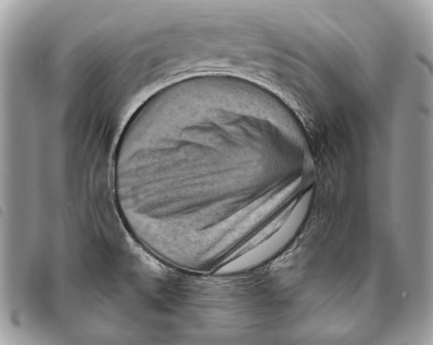 X0000094771527200712071121