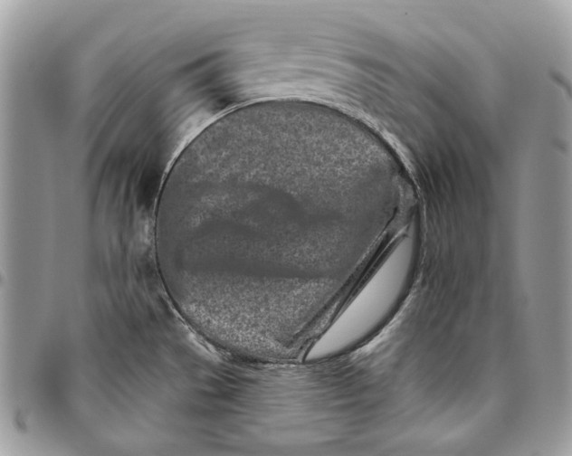 X0000094771529200712071121