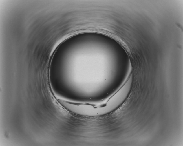 X0000094771530200712071121