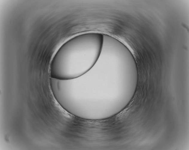 X0000094771532200712071121