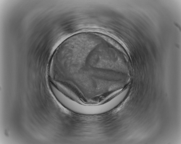 X0000094771533200712071121