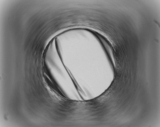 X0000094771534200712071122