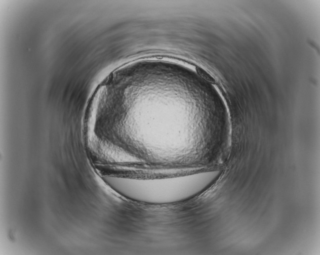 X0000094771535200712071122