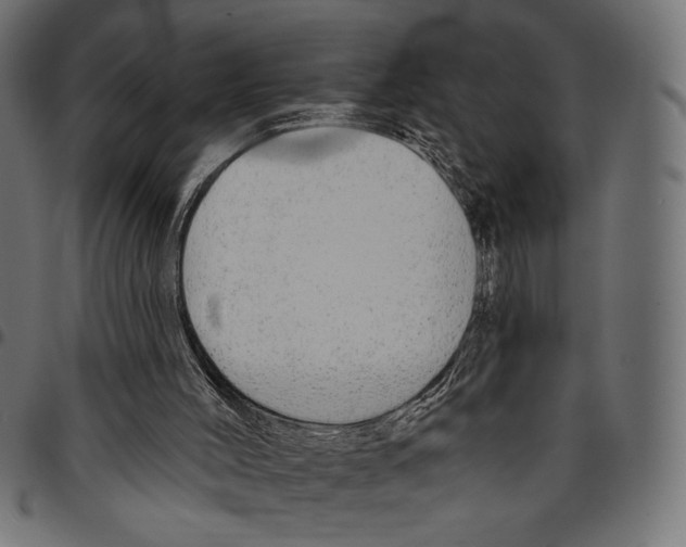 X0000094770004200712141608