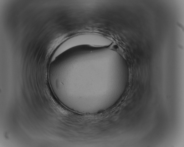 X0000094770005200712141608