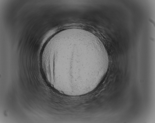 X0000094770006200712141608