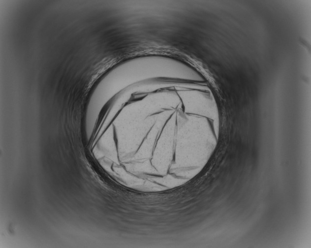 X0000094770010200712141608