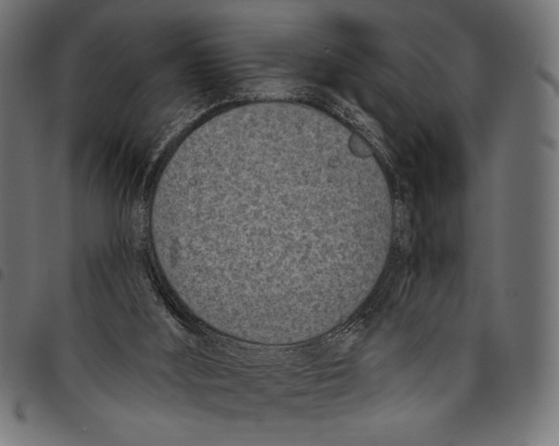 X0000094770012200712141608