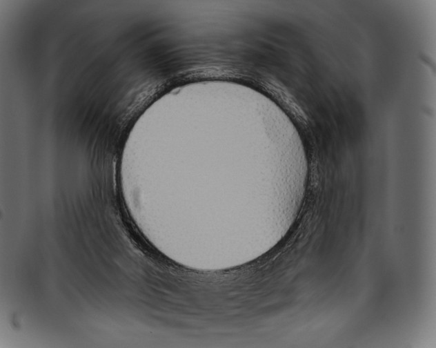 X0000094770014200712141608