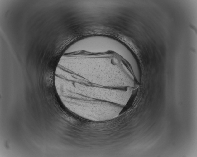 X0000094770017200712141608