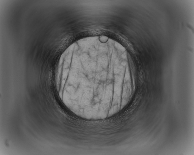 X0000094770018200712141608