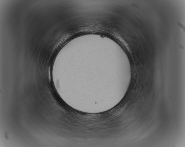 X0000094770020200712141607