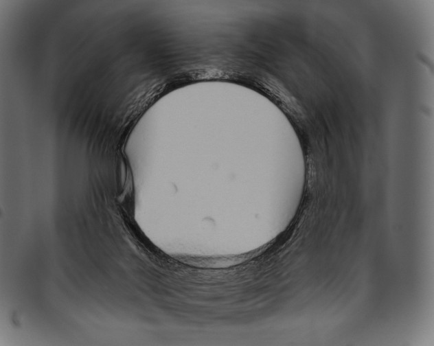 X0000094770022200712141607