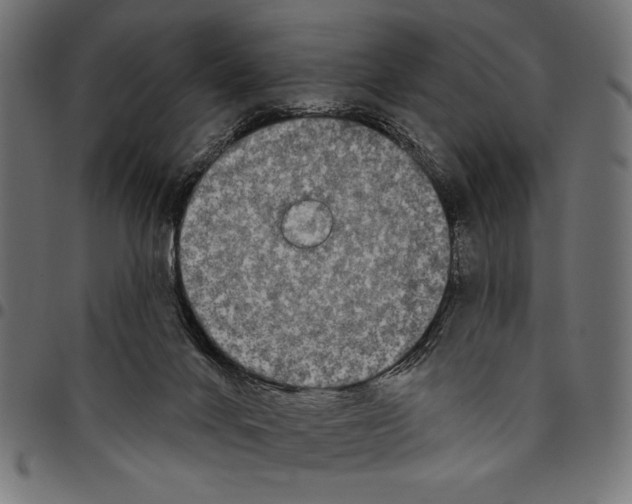 X0000094770024200712141607