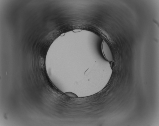 X0000094770025200712141607