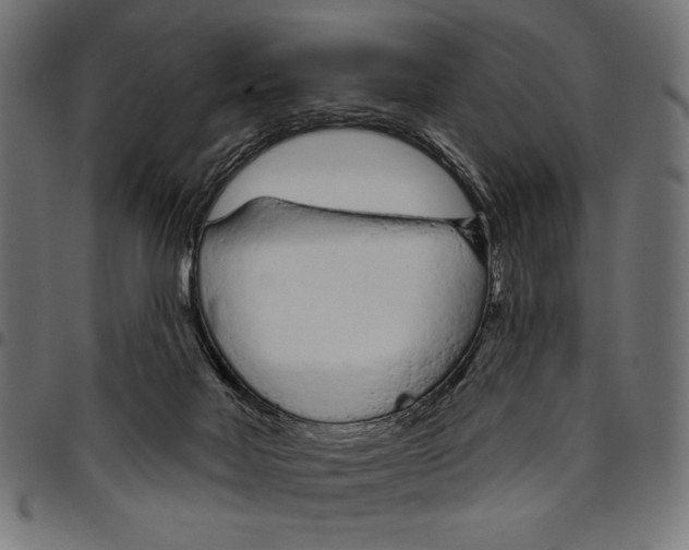 X0000094770026200712141607