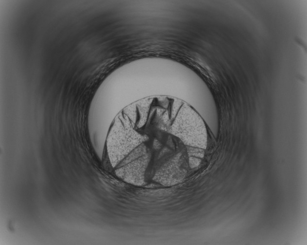 X0000094770029200712141607