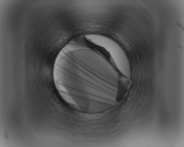 X0000094770031200712141607