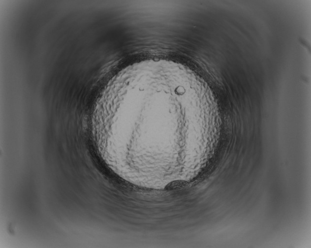 X0000094770032200712141607