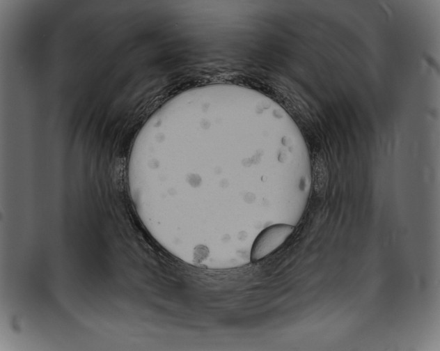 X0000094770034200712141607