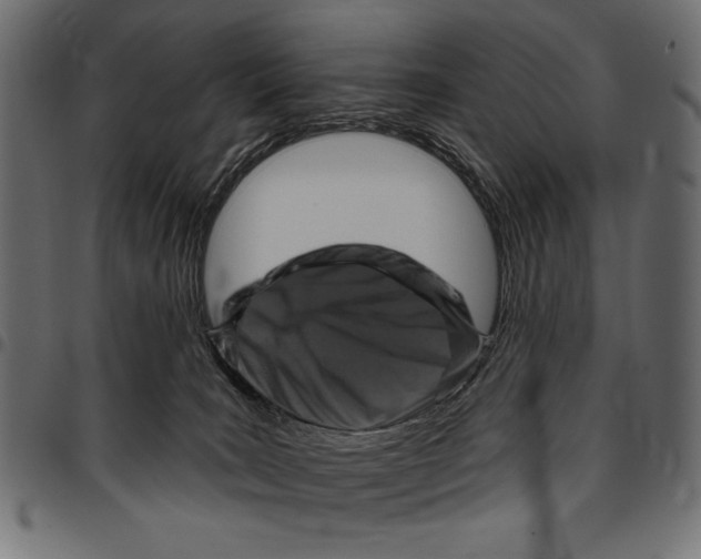 X0000094770035200712141607