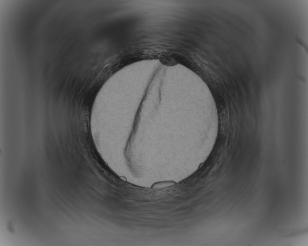 X0000094770038200712141607