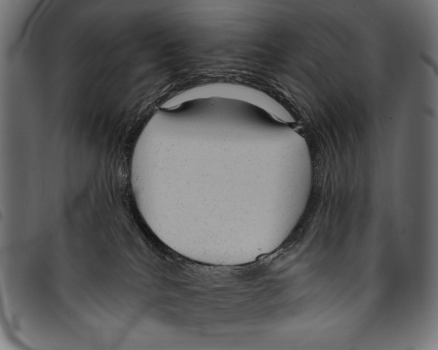 X0000094770040200712141607