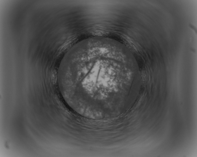 X0000094770043200712141607