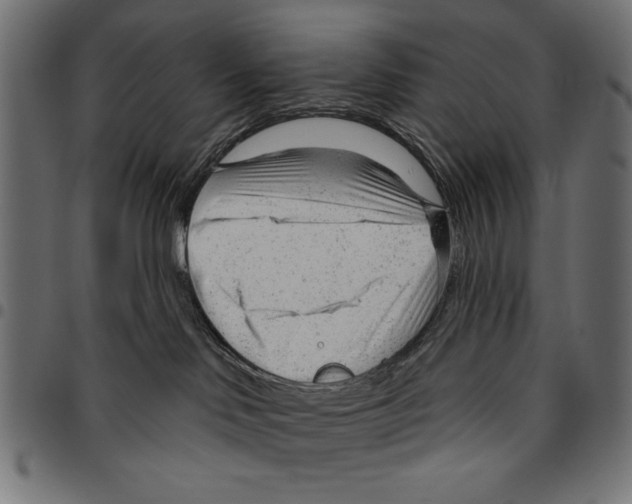 X0000094770046200712141607