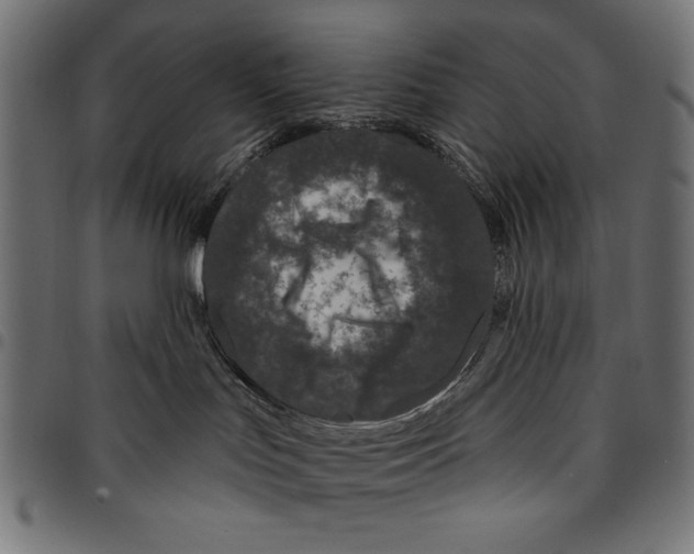 X0000094770047200712141607