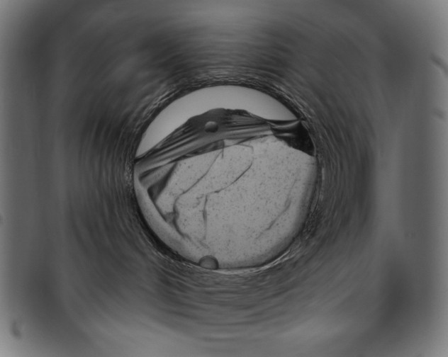 X0000094770048200712141607