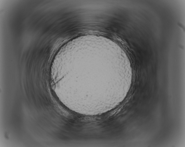 X0000094770049200712141606