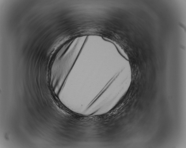 X0000094770050200712141606