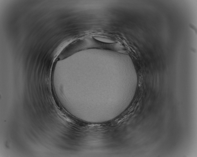 X0000094770052200712141606