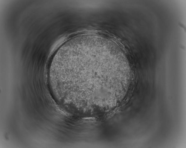 X0000094770053200712141606