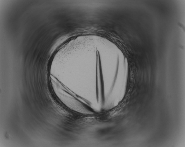 X0000094770054200712141607