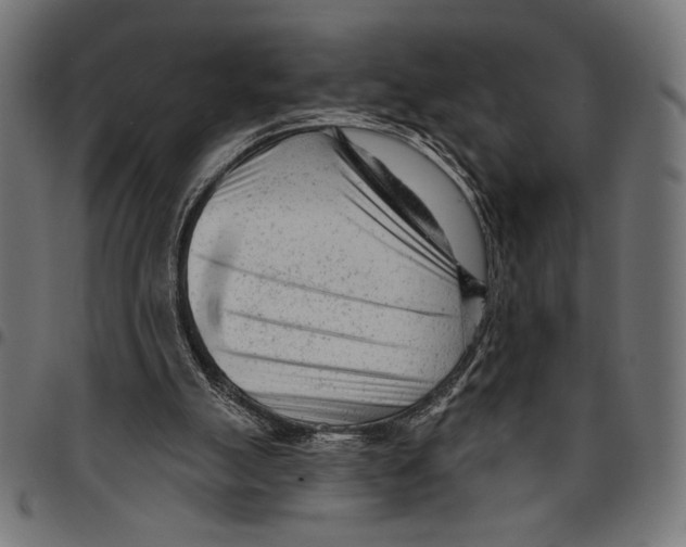 X0000094770055200712141607