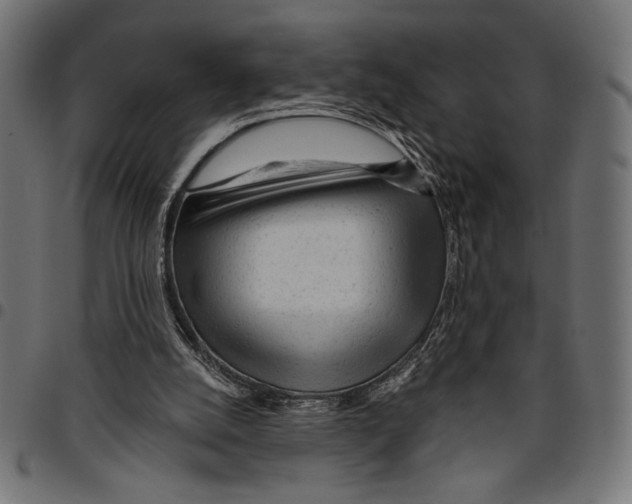 X0000094770056200712141607