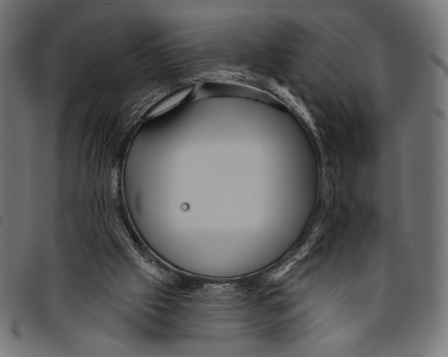 X0000094770057200712141607