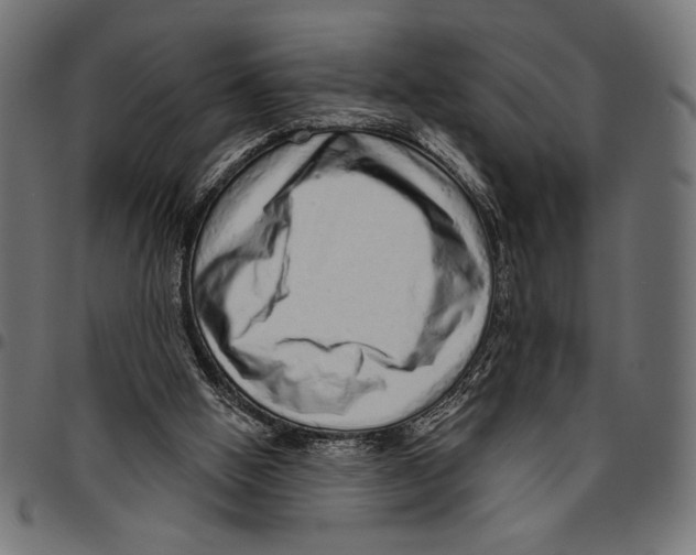 X0000094770058200712141607