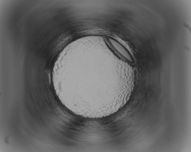 X0000094770061200712141607